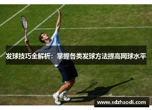 发球技巧全解析：掌握各类发球方法提高网球水平