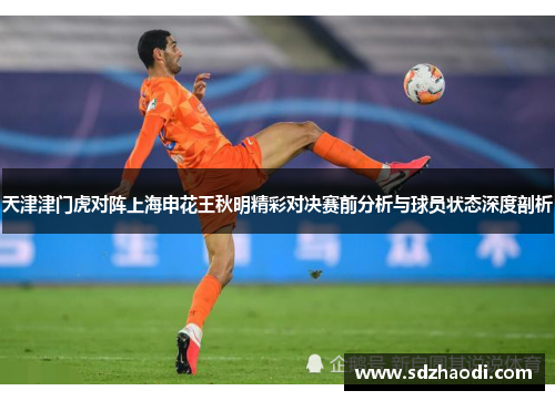 天津津门虎对阵上海申花王秋明精彩对决赛前分析与球员状态深度剖析